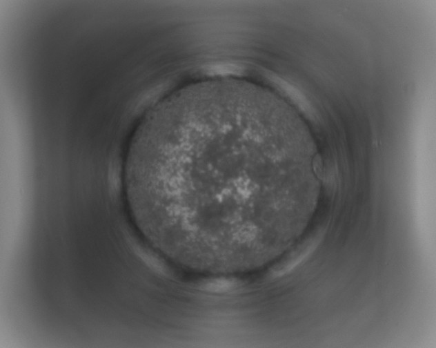 X0000112160402200908141238