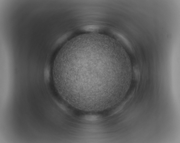 X0000112160404200908141238