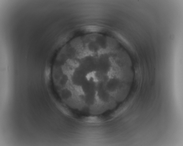 X0000112160406200908141238