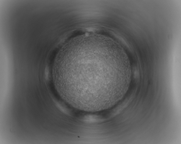 X0000112160408200908141238