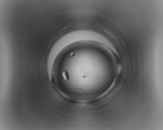X0000112160409200908141238