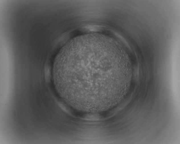 X0000112160410200908141238