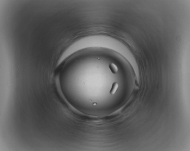 X0000112160411200908141238