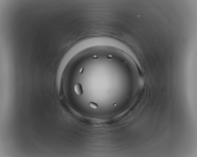 X0000112160415200908141238