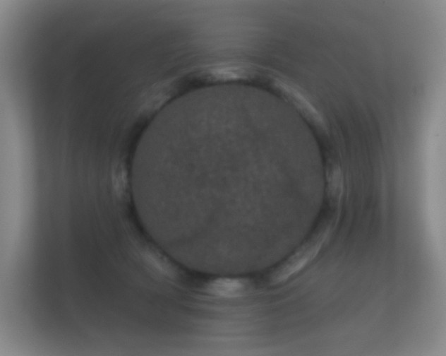 X0000112160418200908141238