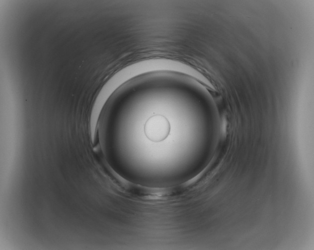 X0000112160425200908141238