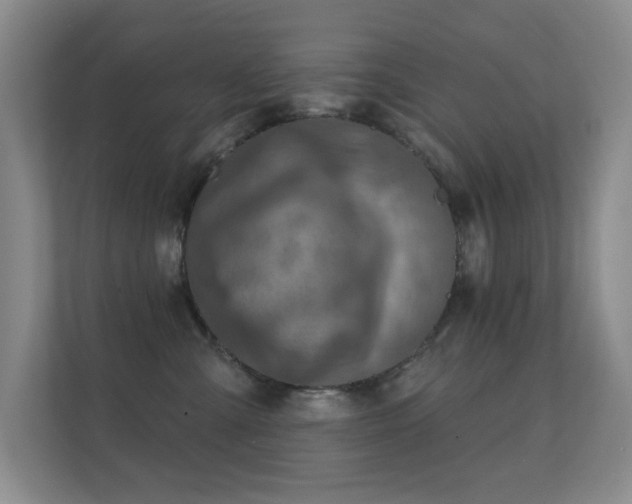 X0000112160427200908141238