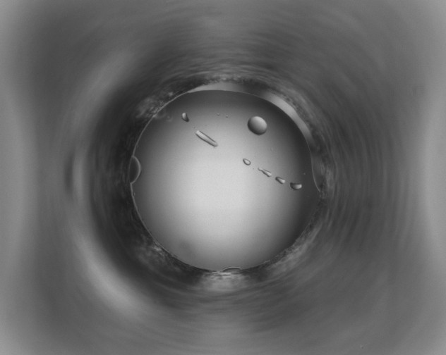 X0000112160429200908141238