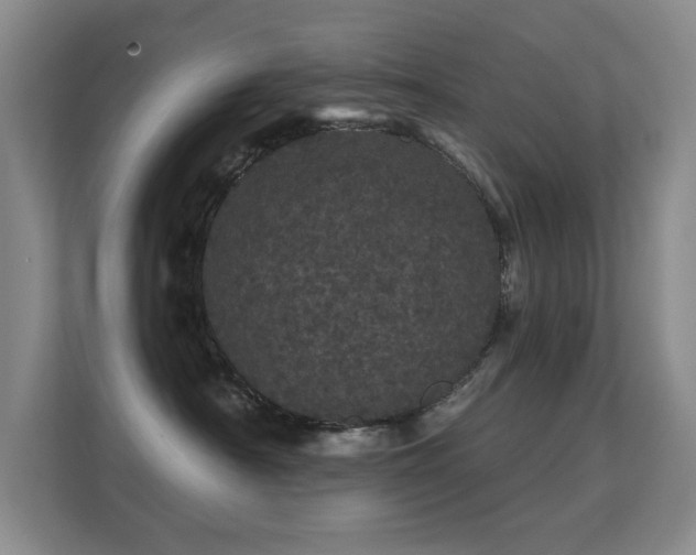 X0000112160430200908141238