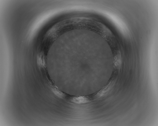 X0000112160431200908141238