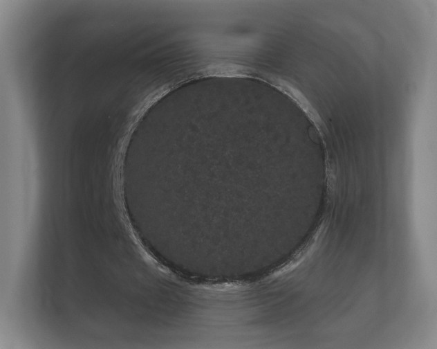 X0000112160433200908141237