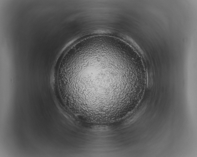 X0000112160435200908141237