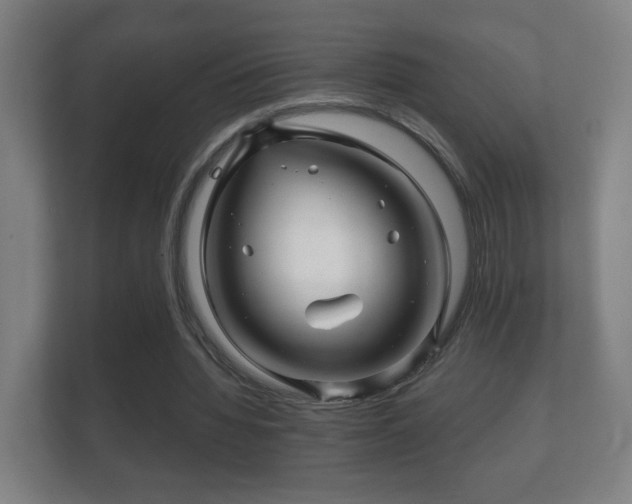 X0000112160436200908141237