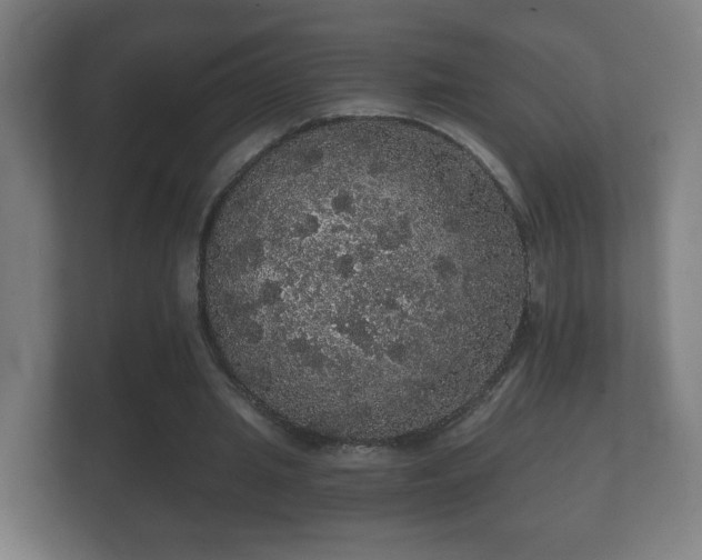 X0000112160437200908141237