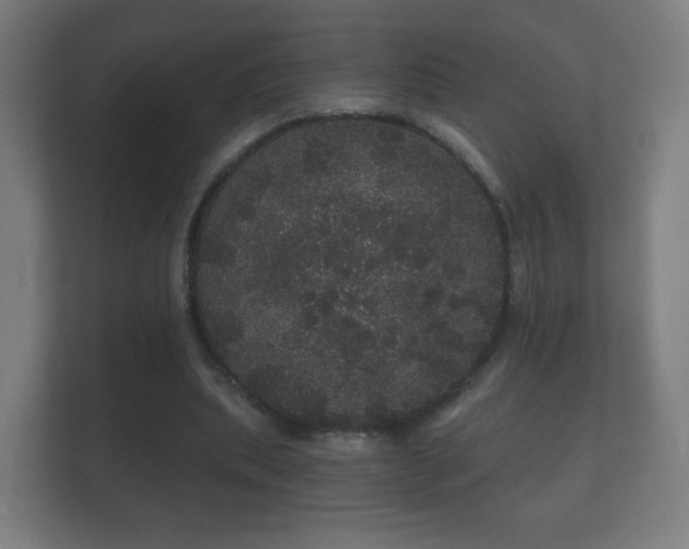 X0000112160439200908141237
