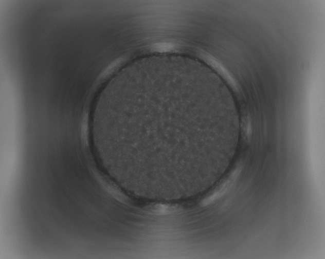 X0000112160442200908141238
