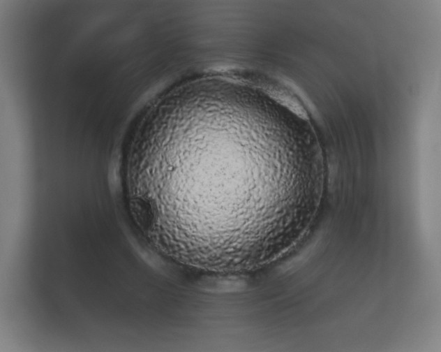 X0000112160443200908141238