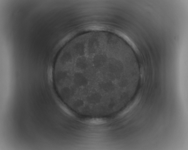 X0000112160445200908141238