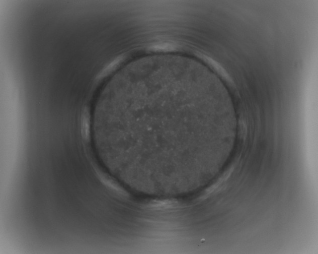 X0000112160446200908141238