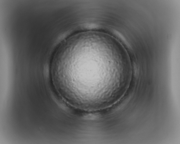 X0000112160447200908141238