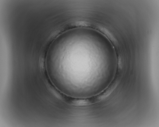 X0000112160449200908141238