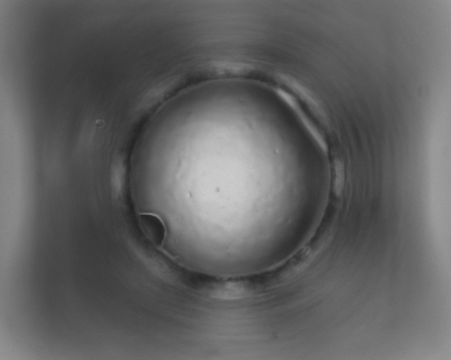 X0000112160451200908141238