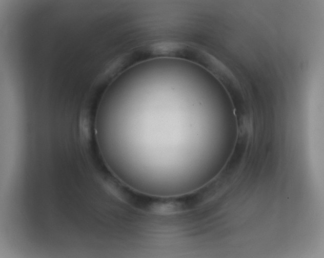 X0000112160452200908141238