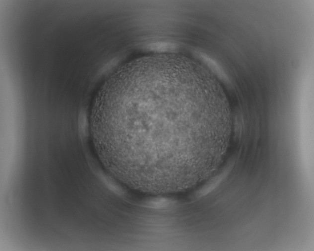 X0000112160453200908141238