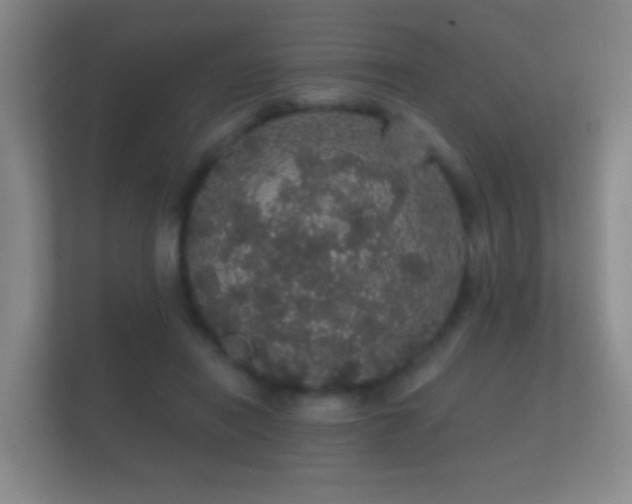 X0000112160454200908141238
