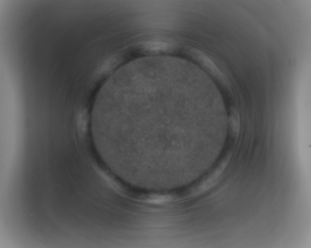 X0000112160458200908141238