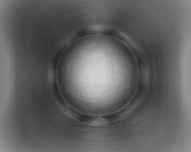 X0000112160459200908141238