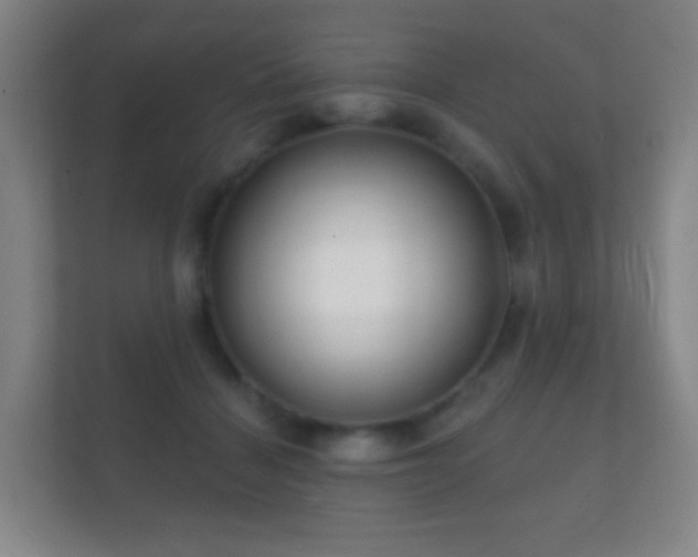 X0000112160460200908141238