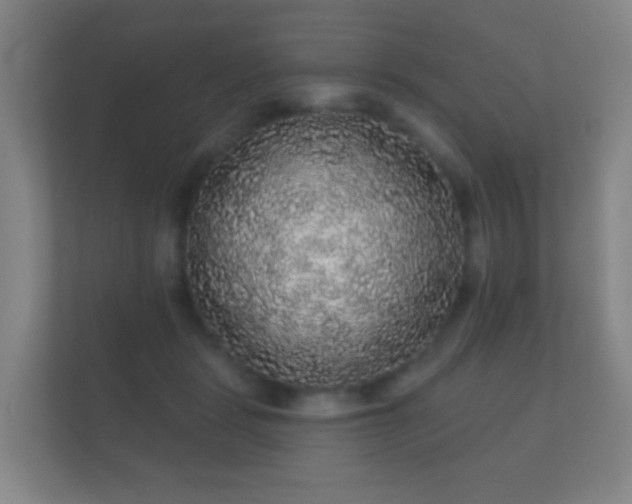 X0000112160461200908141238