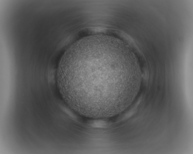 X0000112160462200908141238
