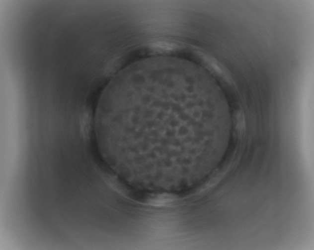 X0000112160463200908141238
