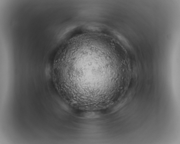 X0000112160465200908141238