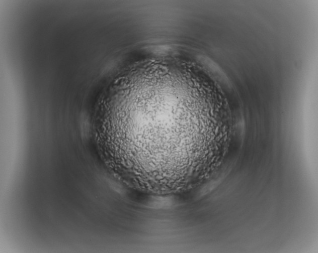 X0000112160469200908141238