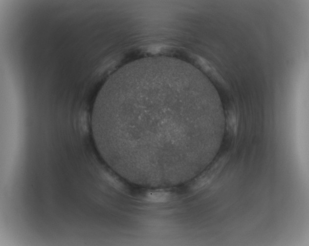 X0000112160470200908141238
