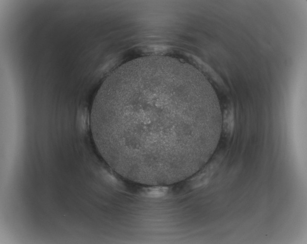 X0000112160474200908141238