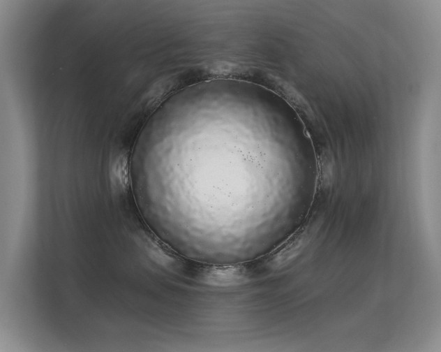 X0000112160479200908141238