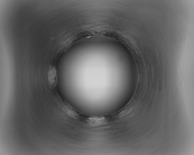 X0000112160480200908141238