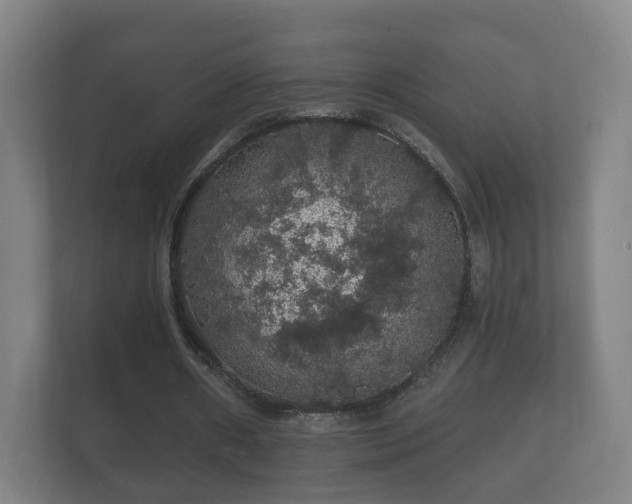 X0000112160482200908141237