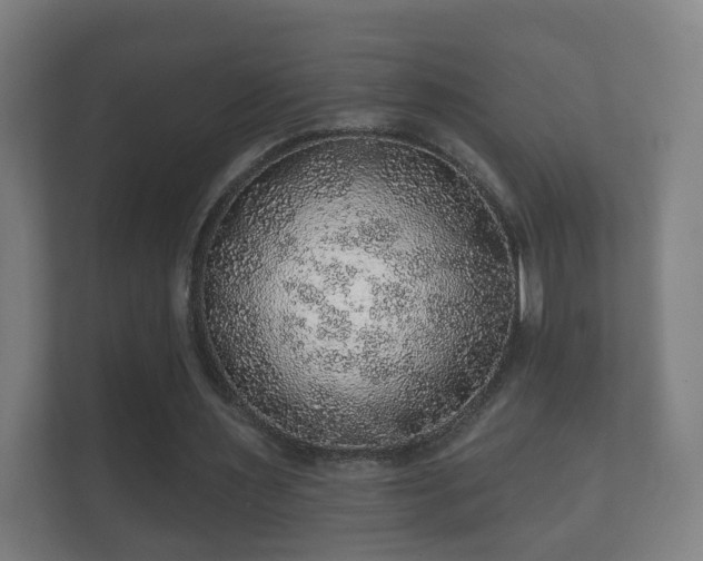 X0000112160483200908141237