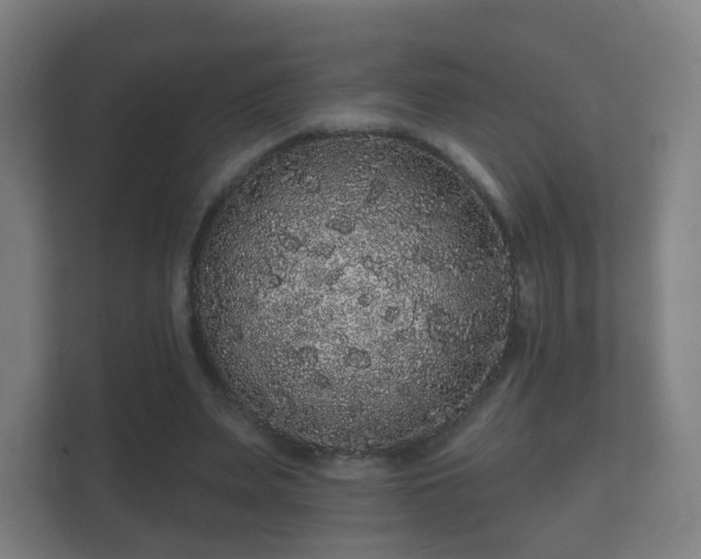 X0000112160487200908141237
