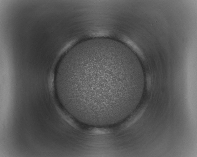 X0000112160490200908141237