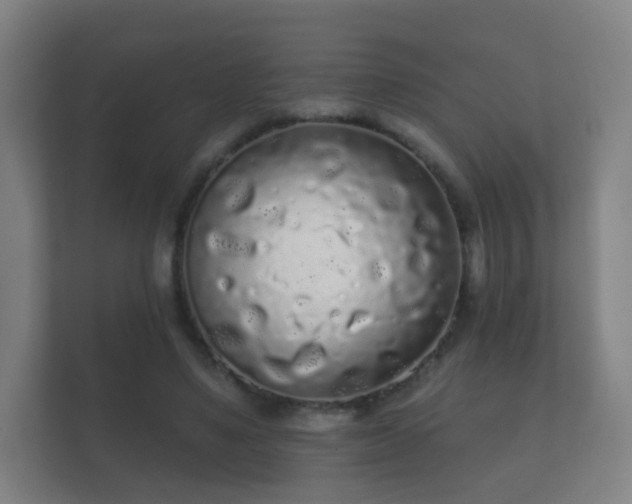 X0000112160491200908141237
