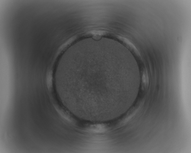 X0000112160492200908141237