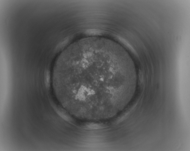X0000112160494200908141237