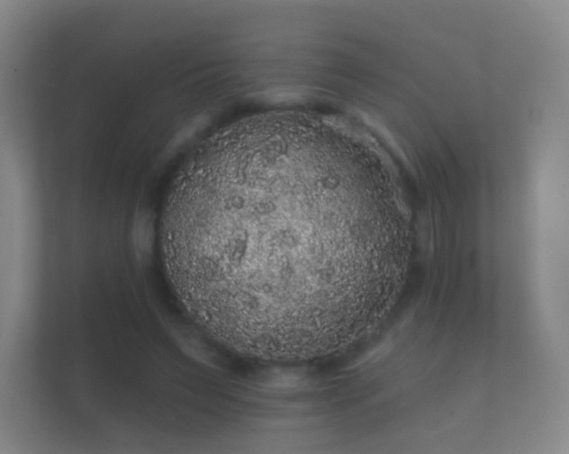 X0000112160495200908141237