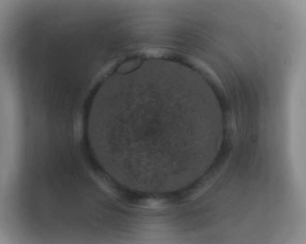 X0000112160496200908141237
